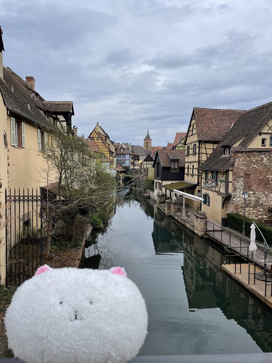 amarunanmin's tweet photo. 念願のコルマール（Colmar）聖地巡礼してきました～🐰🐰🐰

#gochiusa  #ごちうさ https://t.co/zhMweGCpxm