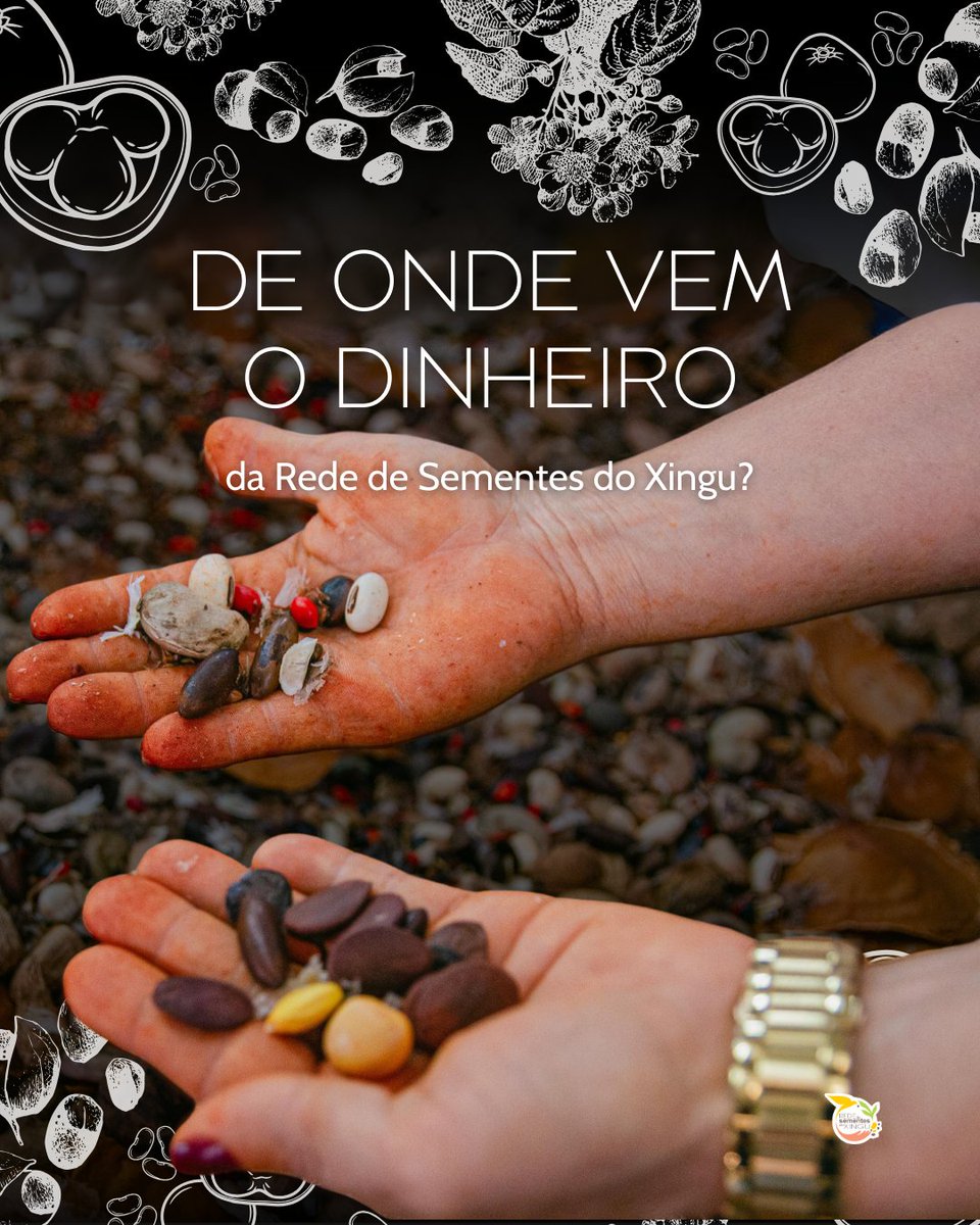 RedeXingu's tweet photo. 💸 Aqui, nosso dinheiro é usado para fortalecer as comunidades e os territórios com os quais trabalhamos, fomentar a cadeia de valor de sementes nativas e colaborar com a restauração ecológica em diferentes escalas.

#Transparência #Gestão #Governança https://t.co/9XgR2wD51W