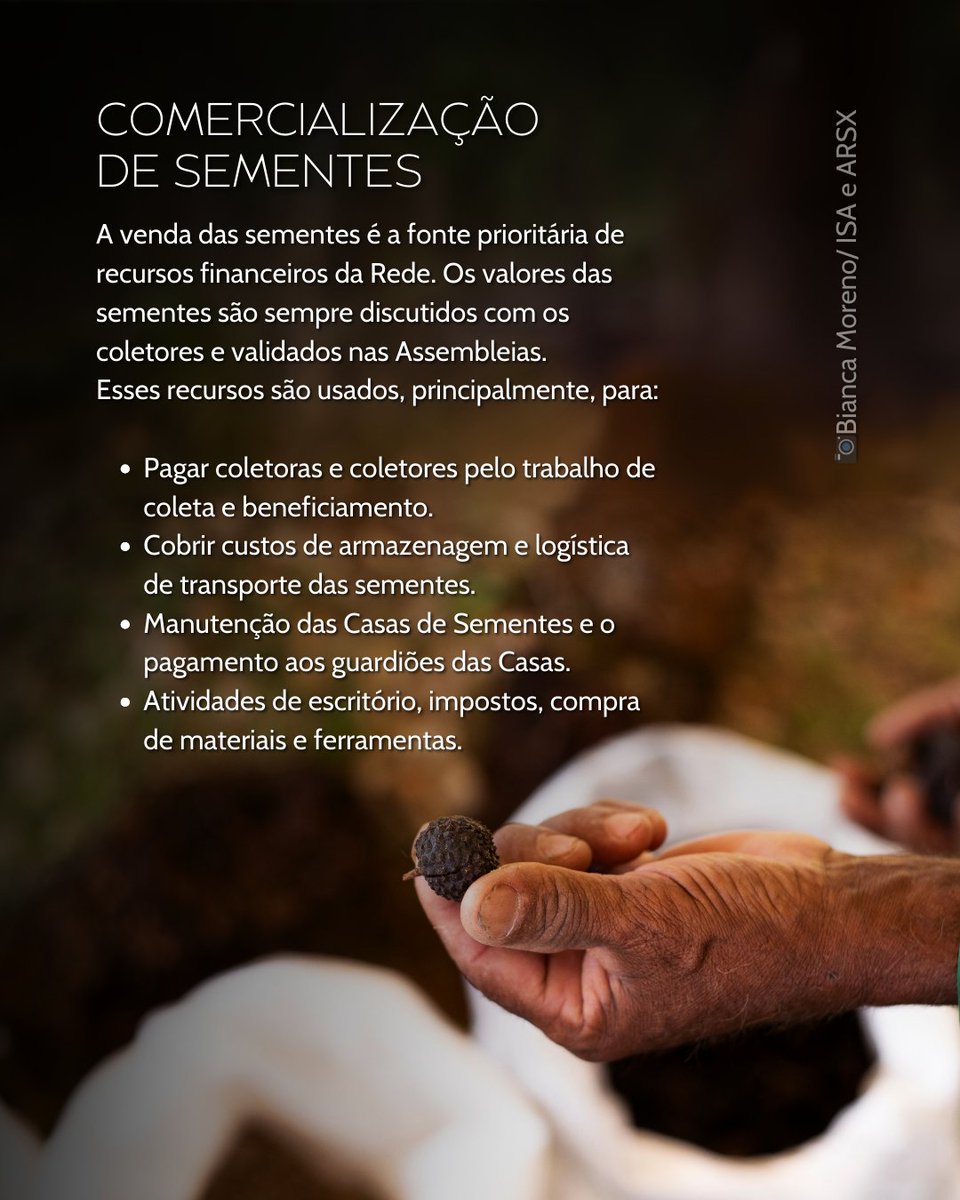 RedeXingu's tweet photo. 💸 Aqui, nosso dinheiro é usado para fortalecer as comunidades e os territórios com os quais trabalhamos, fomentar a cadeia de valor de sementes nativas e colaborar com a restauração ecológica em diferentes escalas.

#Transparência #Gestão #Governança https://t.co/9XgR2wD51W