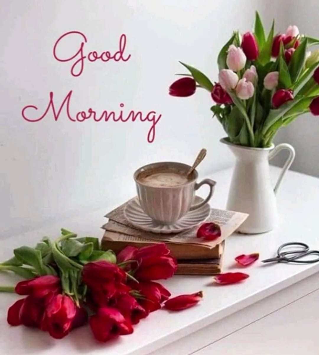 Good Morning