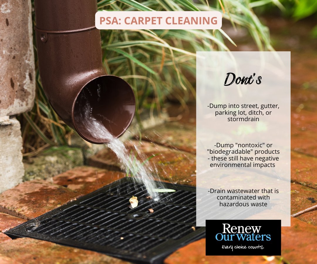 WinnWaterways's tweet photo. Monthly PSA: Carpet Cleaning 

It is warming and folks are starting to do their spring cleaning! Don't forget there are little things you can do in your daily life to help protect our waters. Follow these tips on proper carpet cleaning today!

Read more at https://t.co/jE2pferk1c https://t.co/9QuyVUi7i9