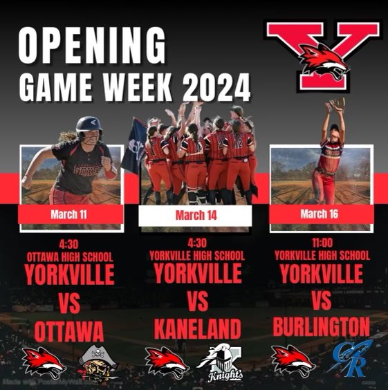 Illinois Lady Reds Softball tweet media