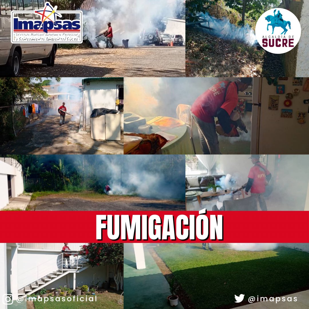 OficialImapsas tweet media