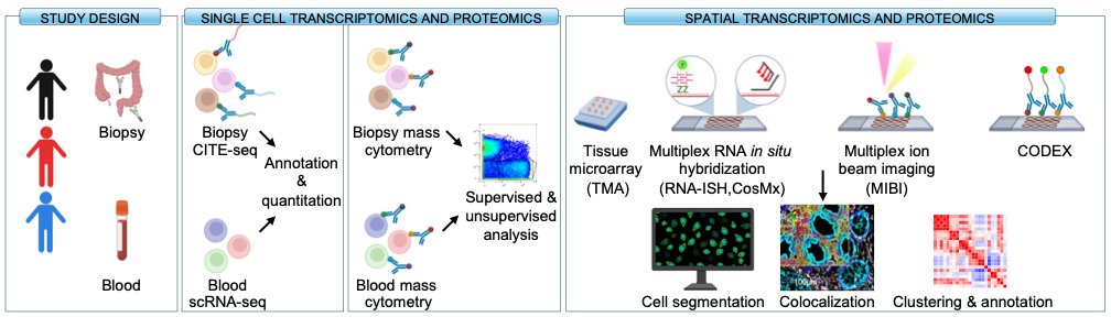 Excited to share our manuscript on single-cell and spatial multi-omics of anti-integrin therapy in ulcerative colitis (UC) nature.com/articles/s4146…. This work was led by @ElviraMennillo, in collaboration with @alexis_combes, @GabiFragiadaks, and @drAOPisco 1/8