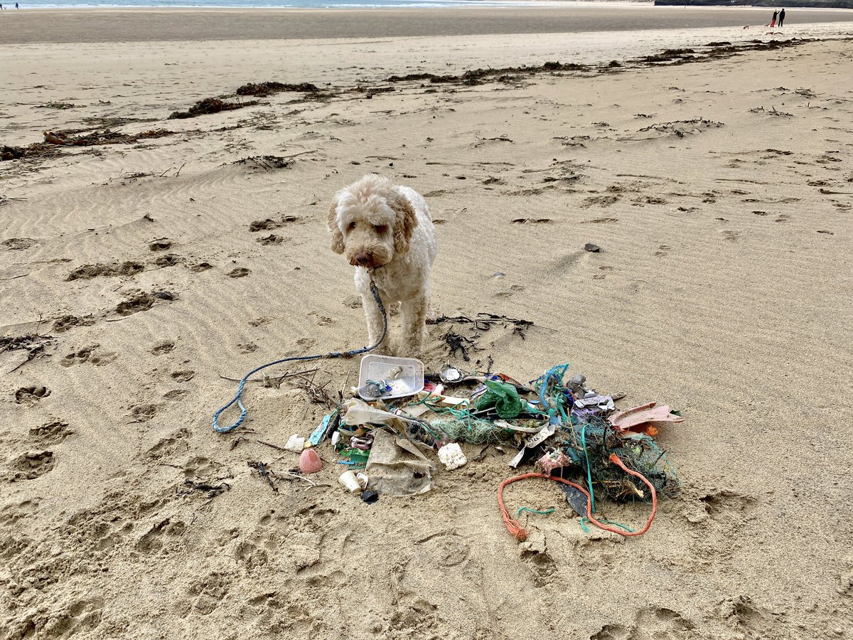 CornishSpliced's tweet image. Shall we have an 
#Easter #TreasureHunt 

@fredsteenbergen you and @Lekjutter free to help keep tallys

@WebbyJamesHere @shorethingG82 #TaskMasters 

Could try something a little different. 
Team event? 

@KeepBritainTidy 
@2minuteHQ