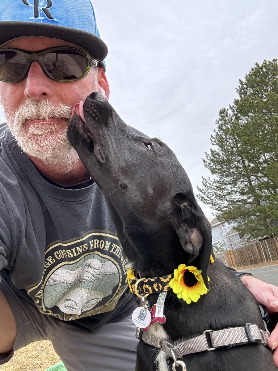Well the puppy (PEPPER) and I went for our first 5k around the neighborhood today. Pretty sketch but we made it, slow, but we made it!!! #RunningWithMyDogNamedPEPPER #dogs #colorfulcolorado