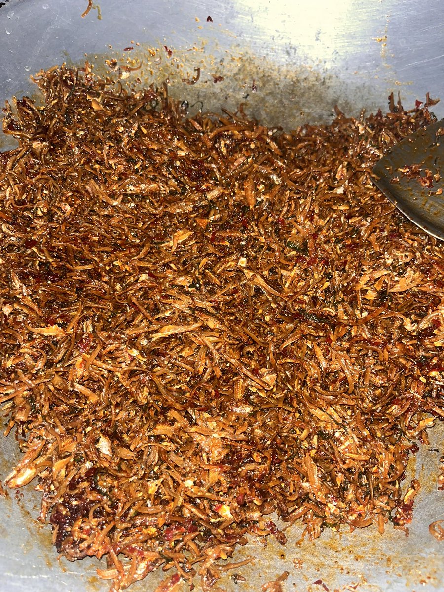 kuntumss's tweet photo. sedap jugak kan dapat sambal bilis garink for sahur nanti 🤔✨✨

cer mention 3rd @/ korang, mana tau dia baik hati kan kan 😝😝 https://t.co/Y5Lt1v8Q76