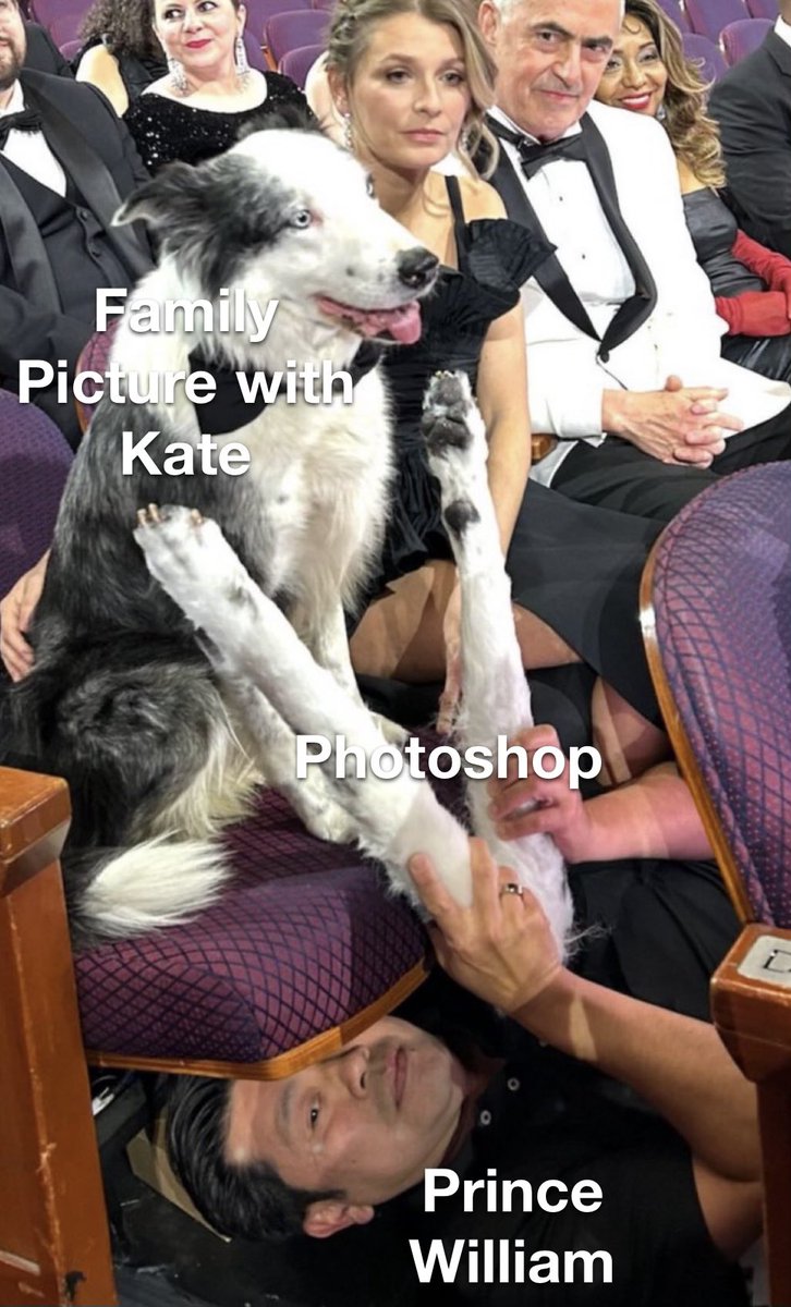 bitsyturtle's tweet image. #Messi #oscars #WhereIsKate