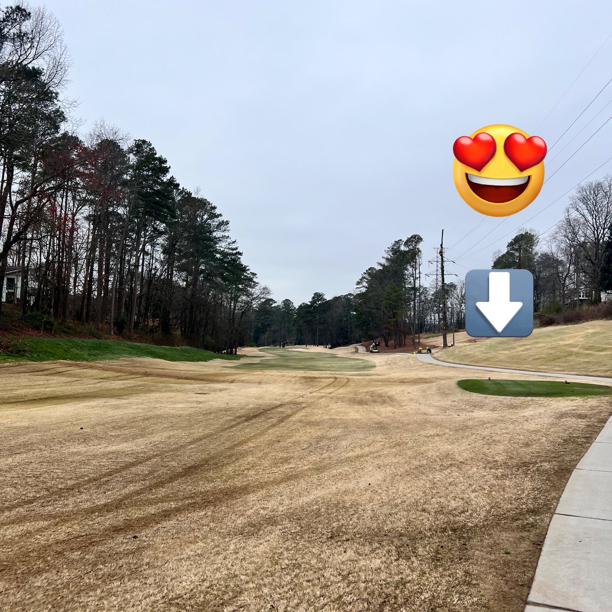 We gave this 419 tee an extra coat of @endurantpaint a month ago and this is the result—fyi: that is no longer the paint. Going forward, we will utilize this practice on tees that typically struggle out of dormancy for various reasons: shade, traffic, high demand, etc.