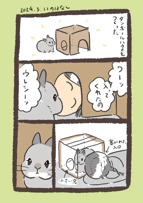 かしこき うさぎ

#うさぎのいる生活 