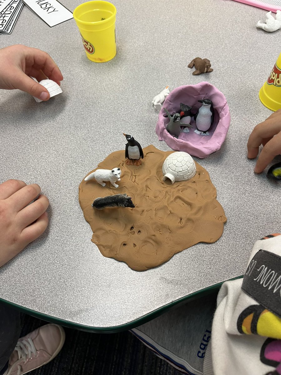 Check out all our different animals and the environments they live in❄️🐧🐙