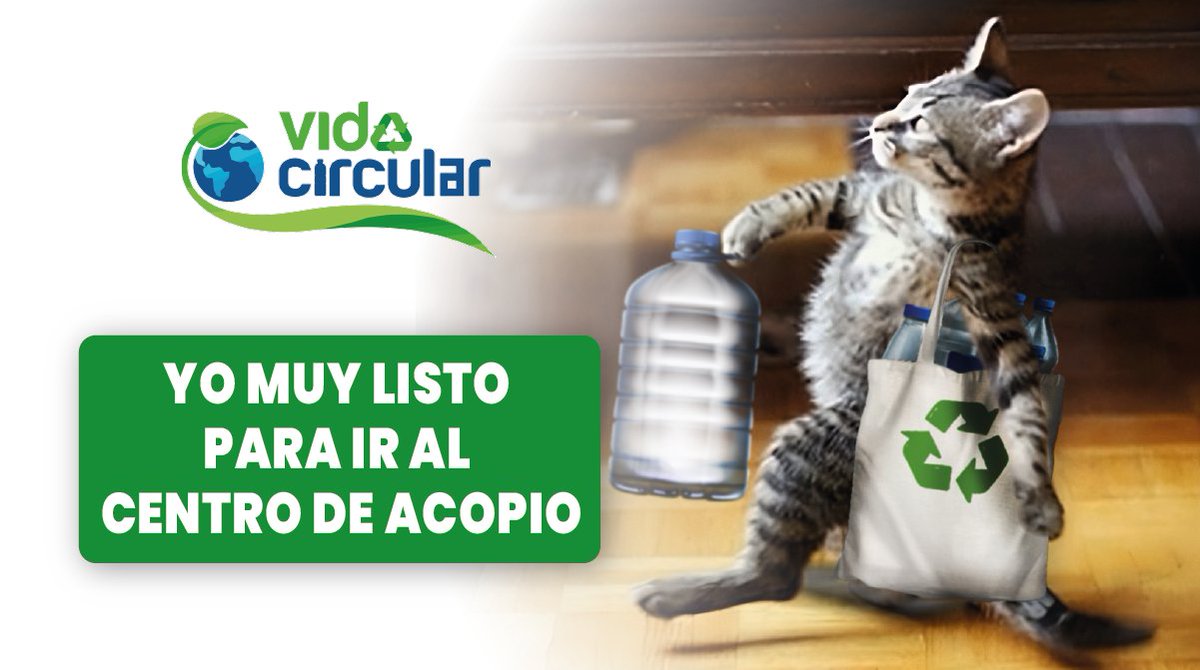 VidacircularMX's tweet photo. Visitar un centro de acopio para contribuir a que tus residuos tengan un destino sostenible marca la diferencia. ♻️🌎
#Humor #Reciclaje #VidaCircular #Sostenibilidad https://t.co/DtkfN3BYzW