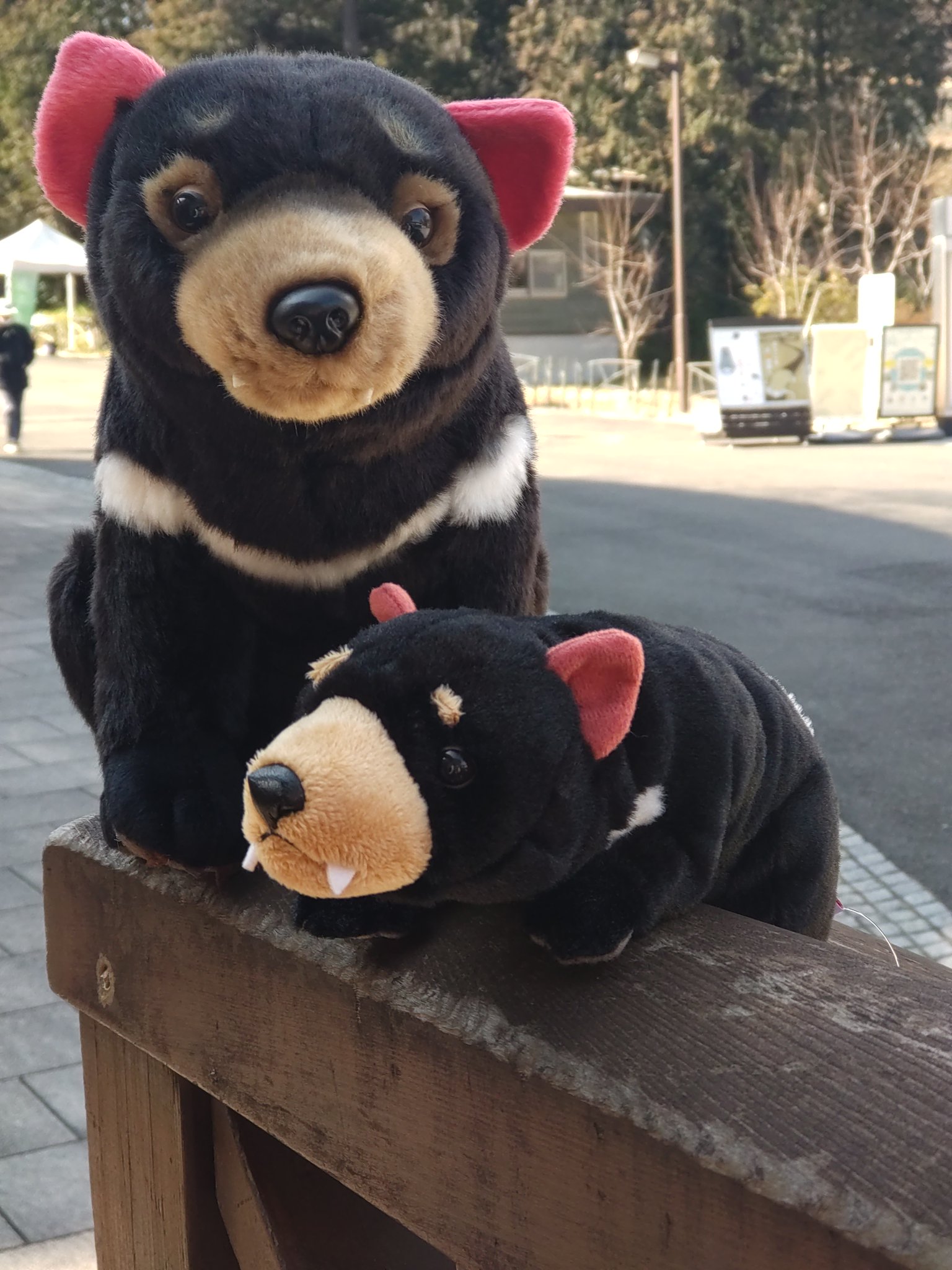 【399】⟡裏地付き⟡ 着ぐるみ ぬい服 タスマニアデビル dearbear_4722