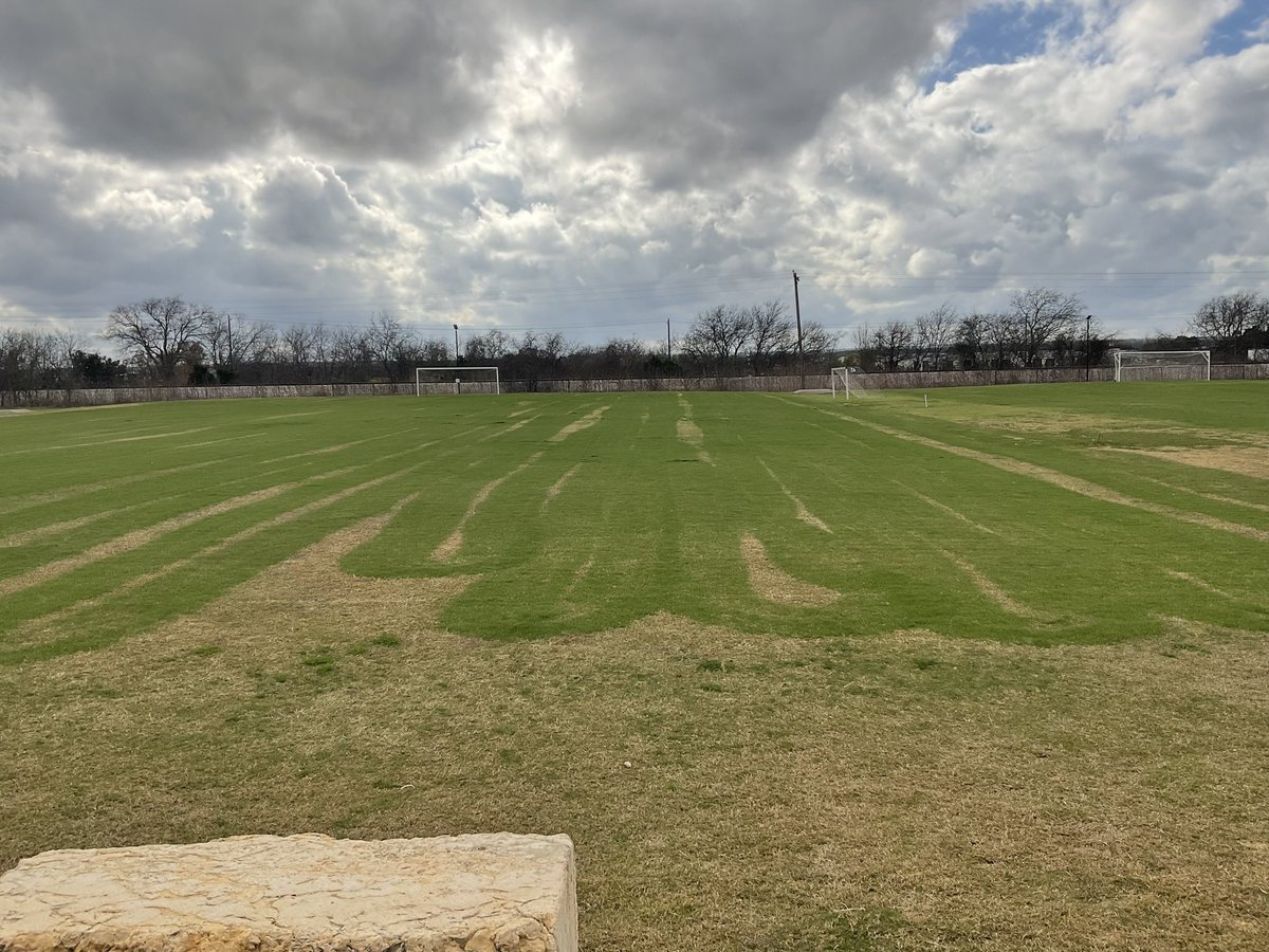 Kyle Foreman tweet media