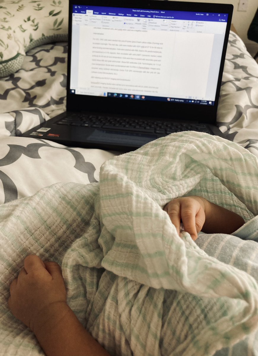 Nothing like writing your thesis with the best (and most distracting) writing-buddy in tow ❤️