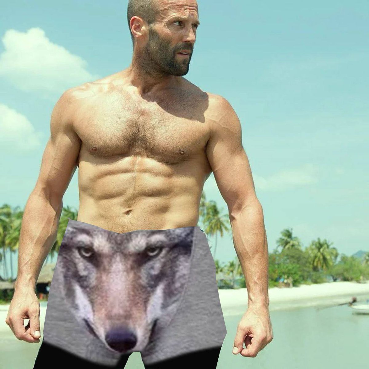 WolfWifBallz's tweet photo. Our average holder be like: https://t.co/UtfKkb3pVV