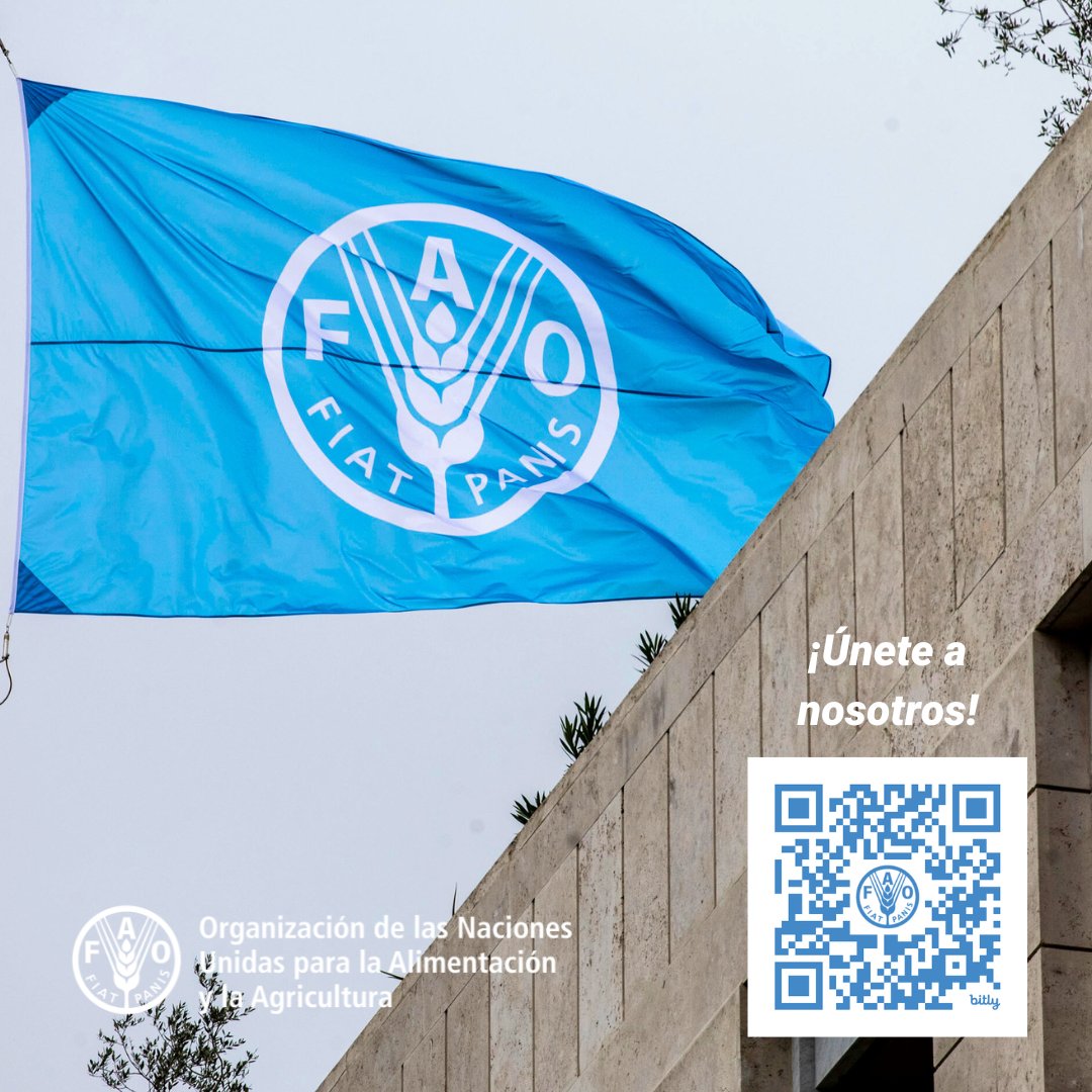 🇺🇳🇨🇴 #FAOJobs  

En FAO trabajamos por el desarrollo rural sostenible, la seguridad alimentaria y la sostenibilidad de los recursos naturales. Si quieres hacer parte de nuestra organización, te invitamos a consultar las convocatorias abiertas. 

➡️ bit.ly/VacantesFAOCO