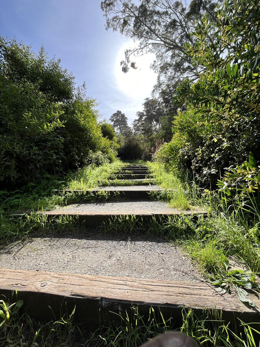 PsychDrT's tweet photo. Congratulations to all  those who matched today! The road was not easy the path wasn’t always clear and YOU DID IT. 

Special shoutout to all my fellow psychiatrists who matched today #psychmatch https://t.co/57fxt8T4Rn