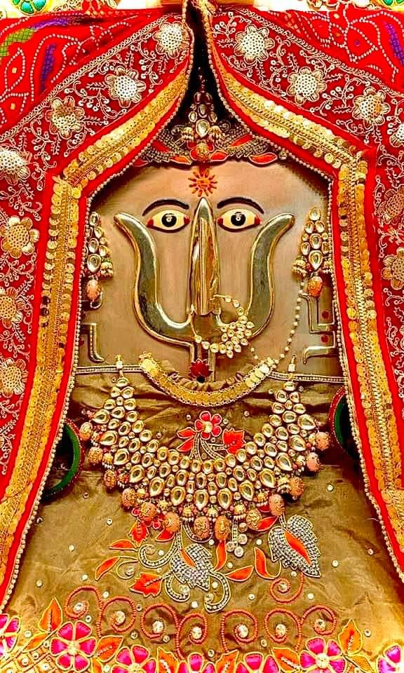 जय दादी की🙏  जय जय श्री दादी की  🙏  सबकी रक्षा कर दादी   🙏