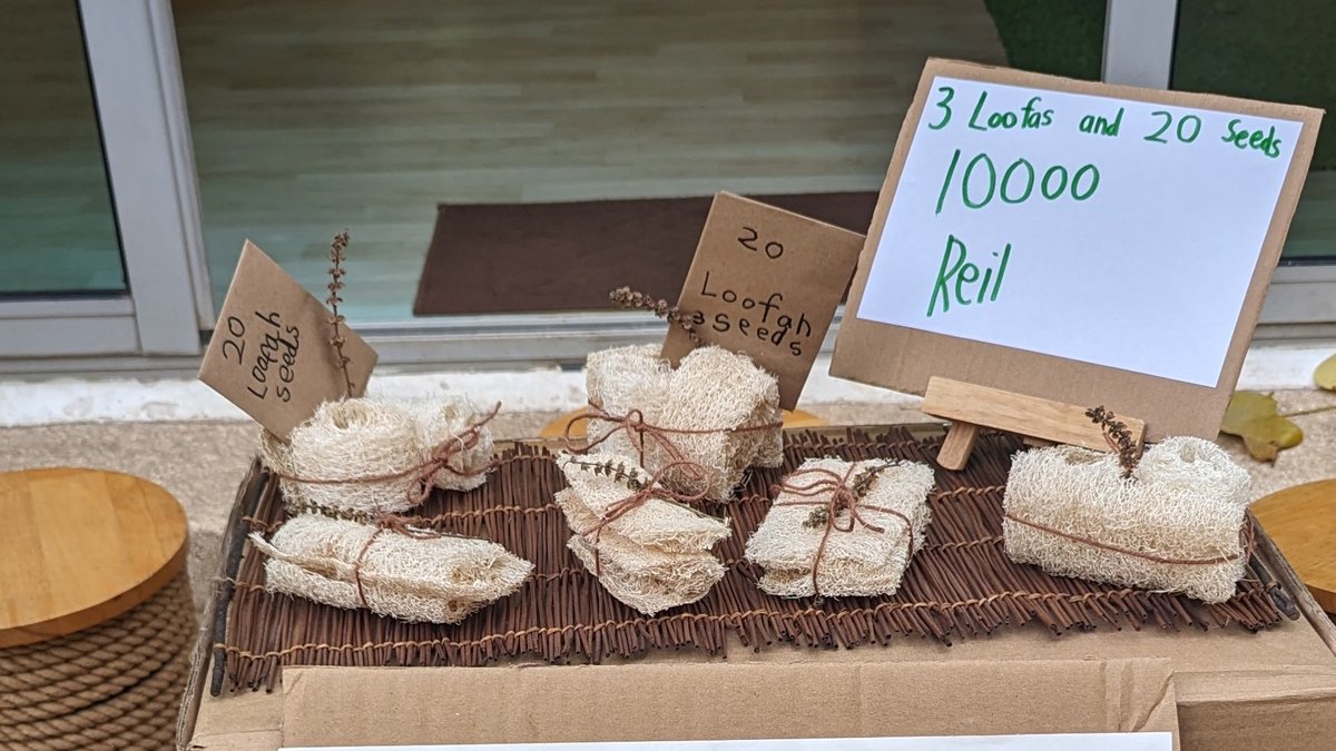A lot of excitement this morning at the KG Loofah sale. The loofahs grew in the ES Garden and have been lovingly prepared for use by the Ss. <a href="/apmango/">amy pitcairn</a> <a href="/ISPPCambodia/">ISPP Cambodia</a> 
drive.google.com/file/d/1Tc363H…