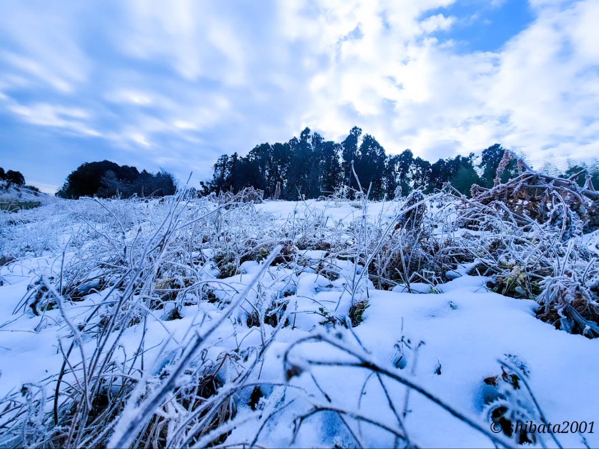 Snow landscape❄️⛄

#total_nature_japan
#lovers_nippon
#colore_de_saison
#mf_landscape
#total_nature_japan
#lovers_nippon
#colore_de_saison
#best_morment_nature
#rox_captures
#onfire_wildnature
#best_moments_nature
#best_of_nature