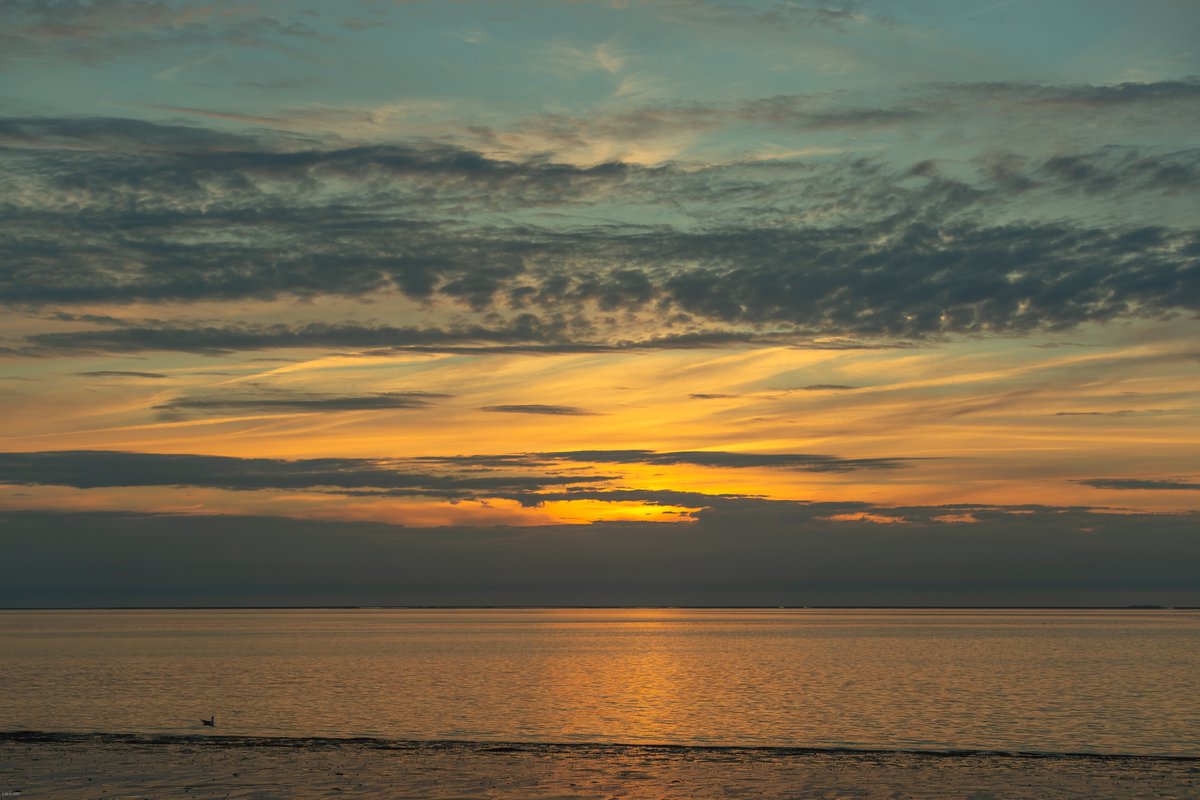Havenlust's tweet photo. Love the art in yourself and not yourself in the art.  

Constantin Stanislavski https://t.co/3xSp1Zb3Db