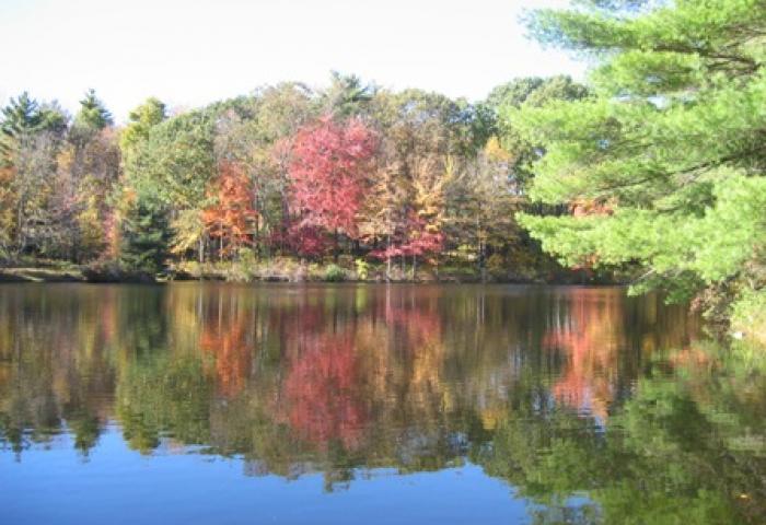 Scott K. Johnson tweet media