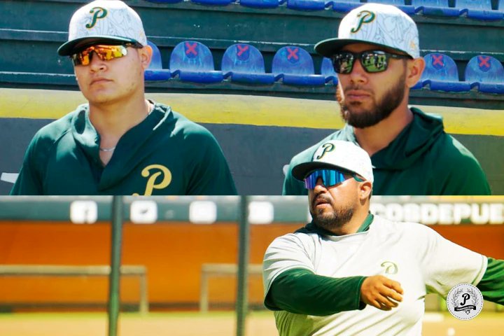 Los Campeones tienen el objetivo definido. ⚾💪🏻

El Nido Verde es testigo de la preparación que están teniendo previo al inicio de la temporada 2024. 🦜

¿Qué le dirías a los peloteros? 😎

#CaminoAlBi ✌🏻