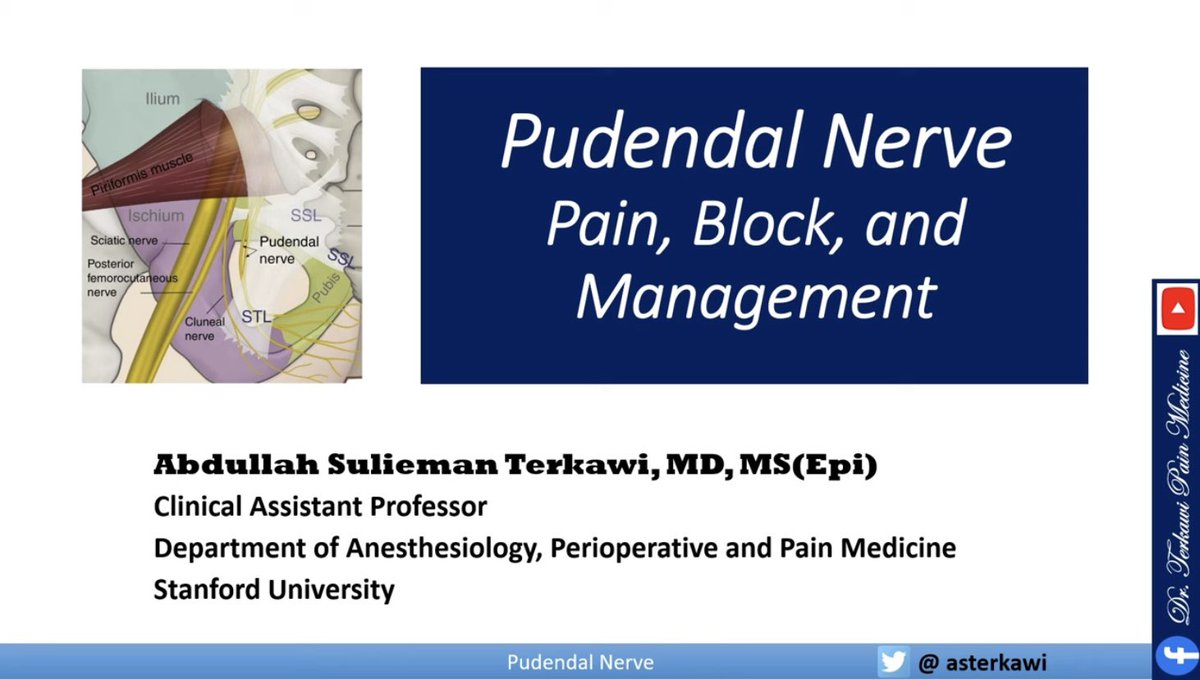 Comprehensive review: pudendal neuralgia 

youtu.be/yAyZEOE4I2M?si…

#pelvicpain #genitalpain #pudendalneuralgia #pudendal #painphysician