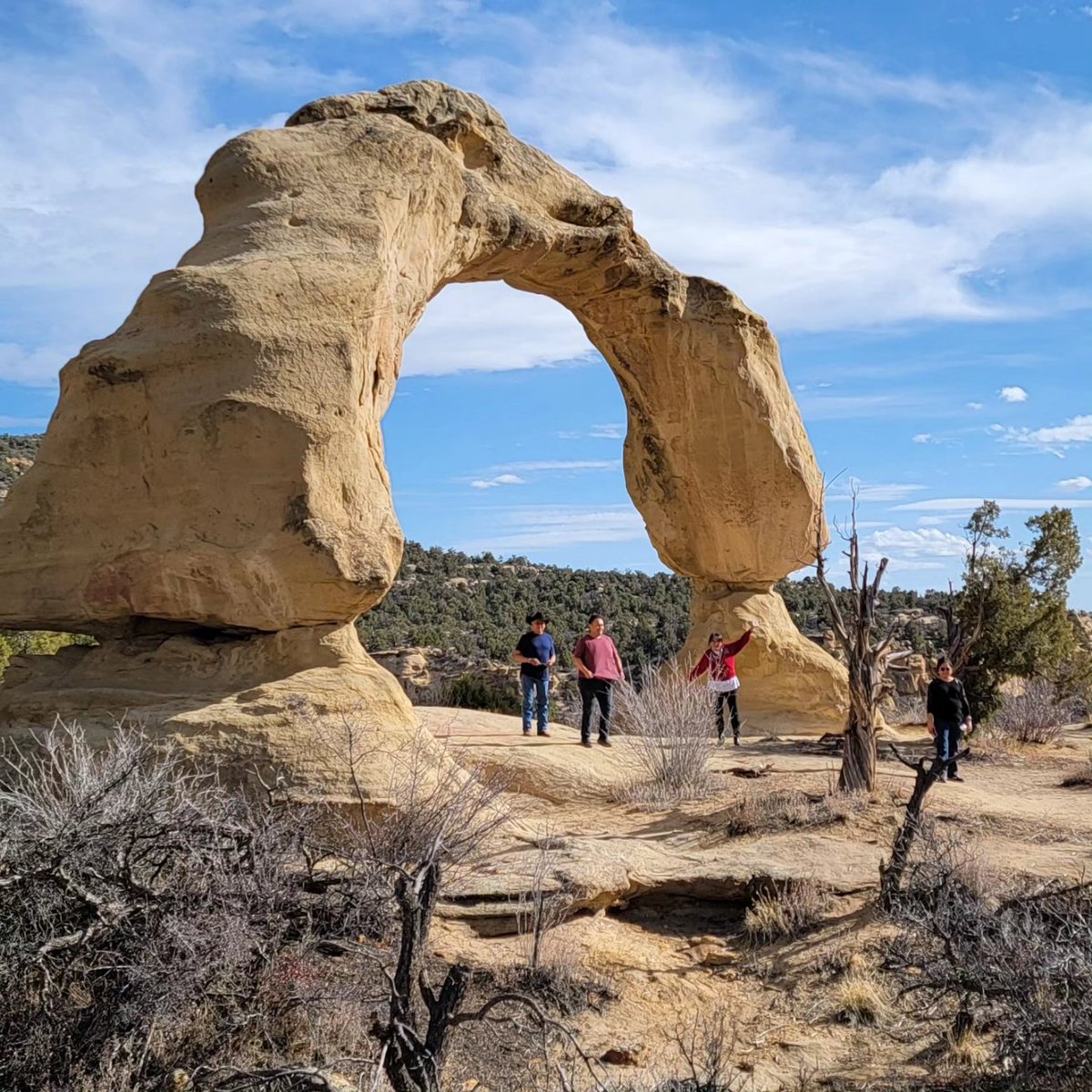 daybreakwarrior's tweet photo. For my sister's #birthday, we did a short #hike to #CoxArch outside of #AztecNM. It was a nice but slightly strenuous hike. We needed to climb two spots, but it wasn't too bad. #HappyBirthday, Tanya!

#NMTrue #NewMexicoTrue #CoxCanyonArch #CanyonArch ##YootóHahoodzo #NewMexico https://t.co/4de2DYs8eb