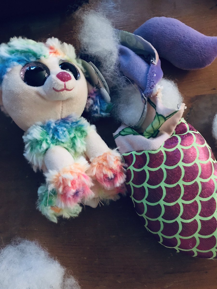 RickThePuppet's tweet photo. We found the donor plushies used for my 🍆 and Alice’s 🐱 https://t.co/kb8cBVE37p