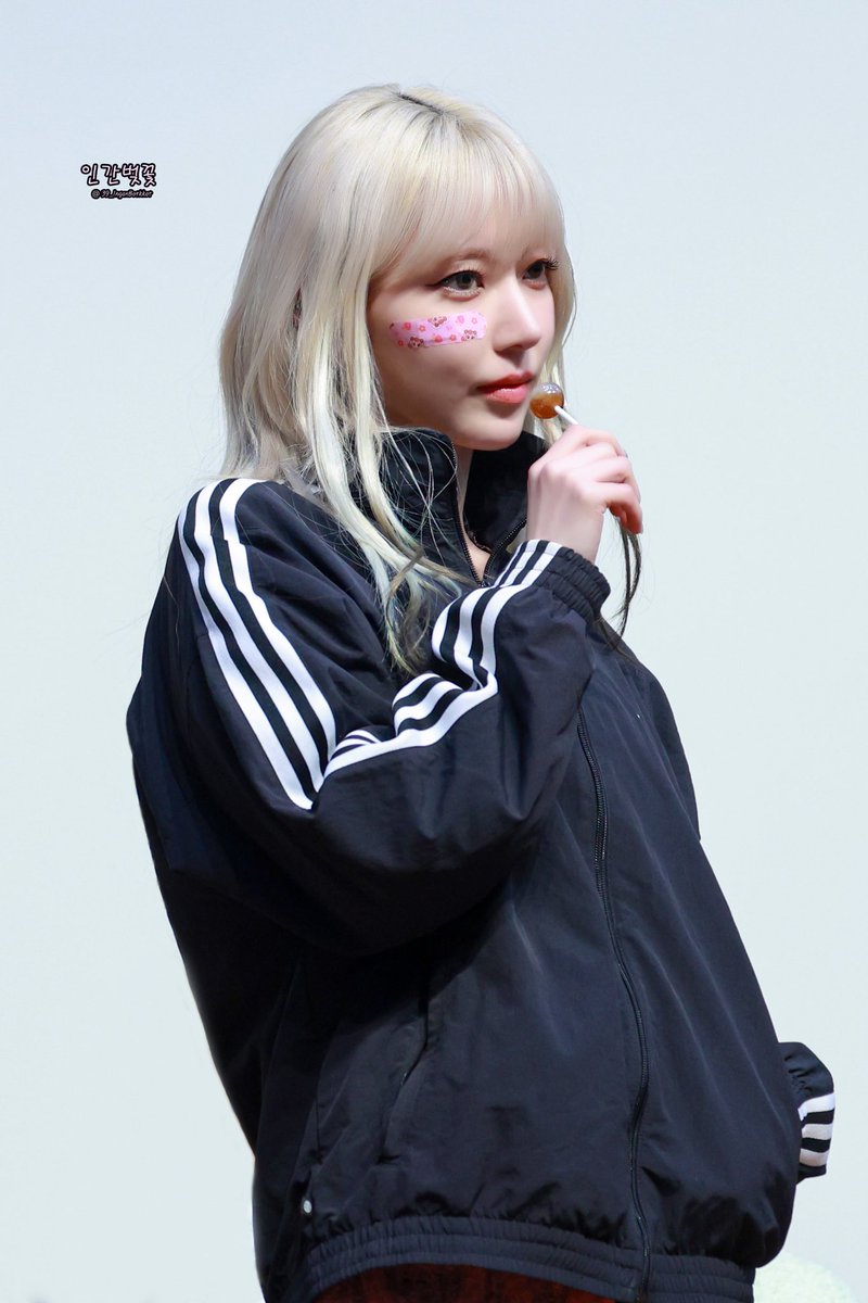인간 벚꽃🌸 tweet media