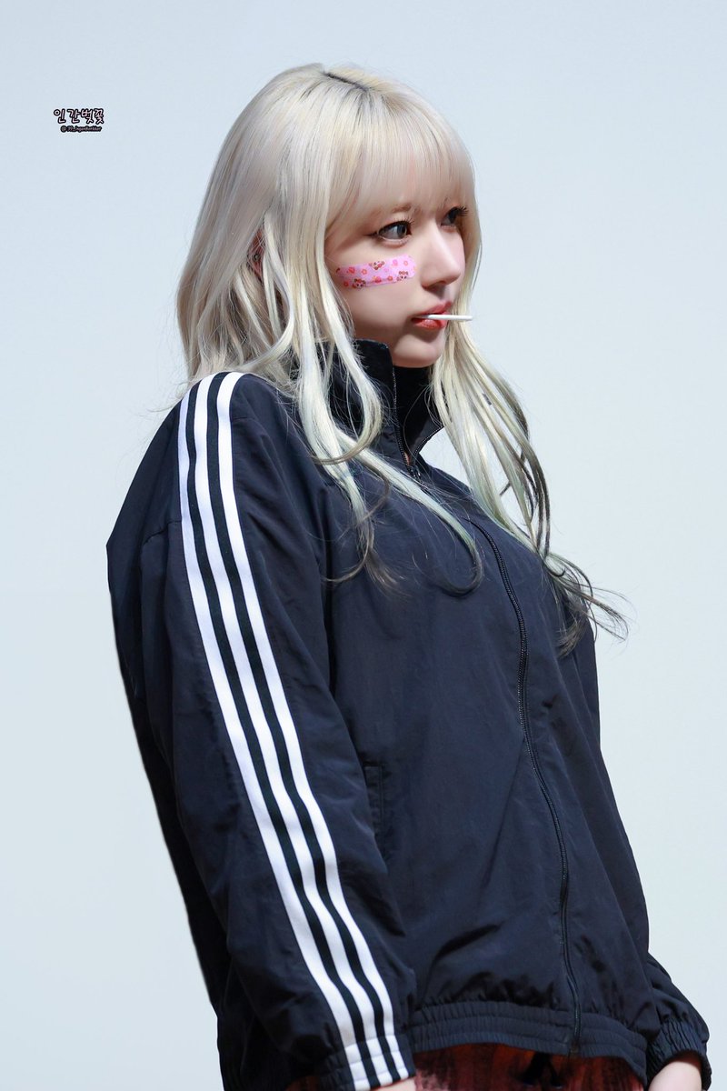 인간 벚꽃🌸 tweet media