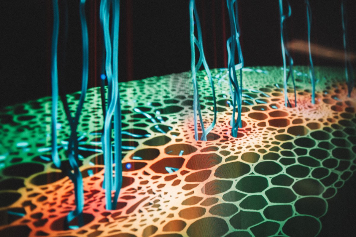 University of Southern Queensland tweet media