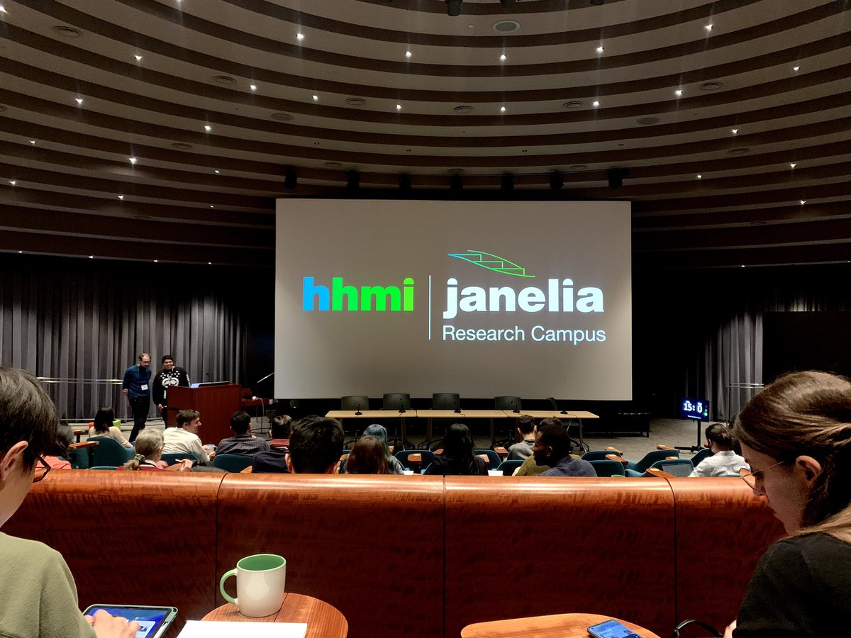 azelle_hawdon's tweet photo. @HHMIJanelia 4D Cellular Physiology Conference has been incredible so far! Looking forward to more science over the next few days #4DCP2024 https://t.co/Yl6hD0CA6D