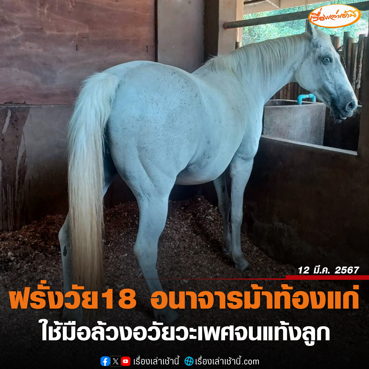 เรื่องเล่าเช้านี้ tweet media