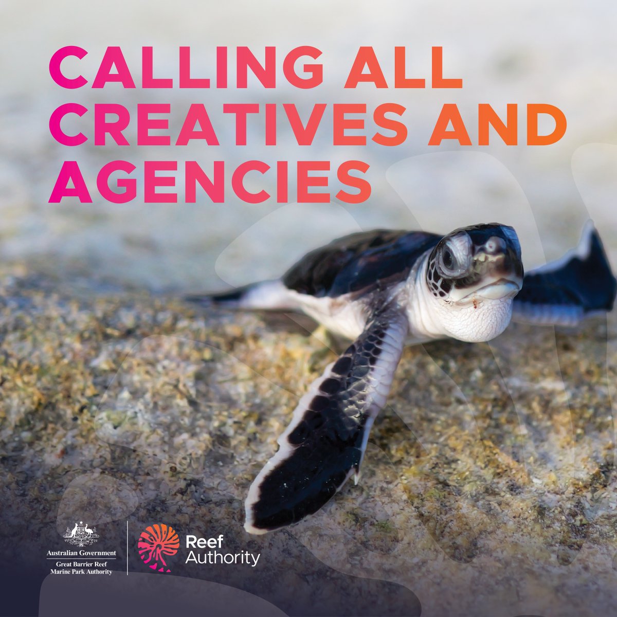 The Great Barrier Reef Marine Park Authority is currently seeking submissions via #AusTender for a panel of suppliers with the capability and capacity to deliver high quality multimedia services on an as required basis. Learn more: bit.ly/3Iz31mt
