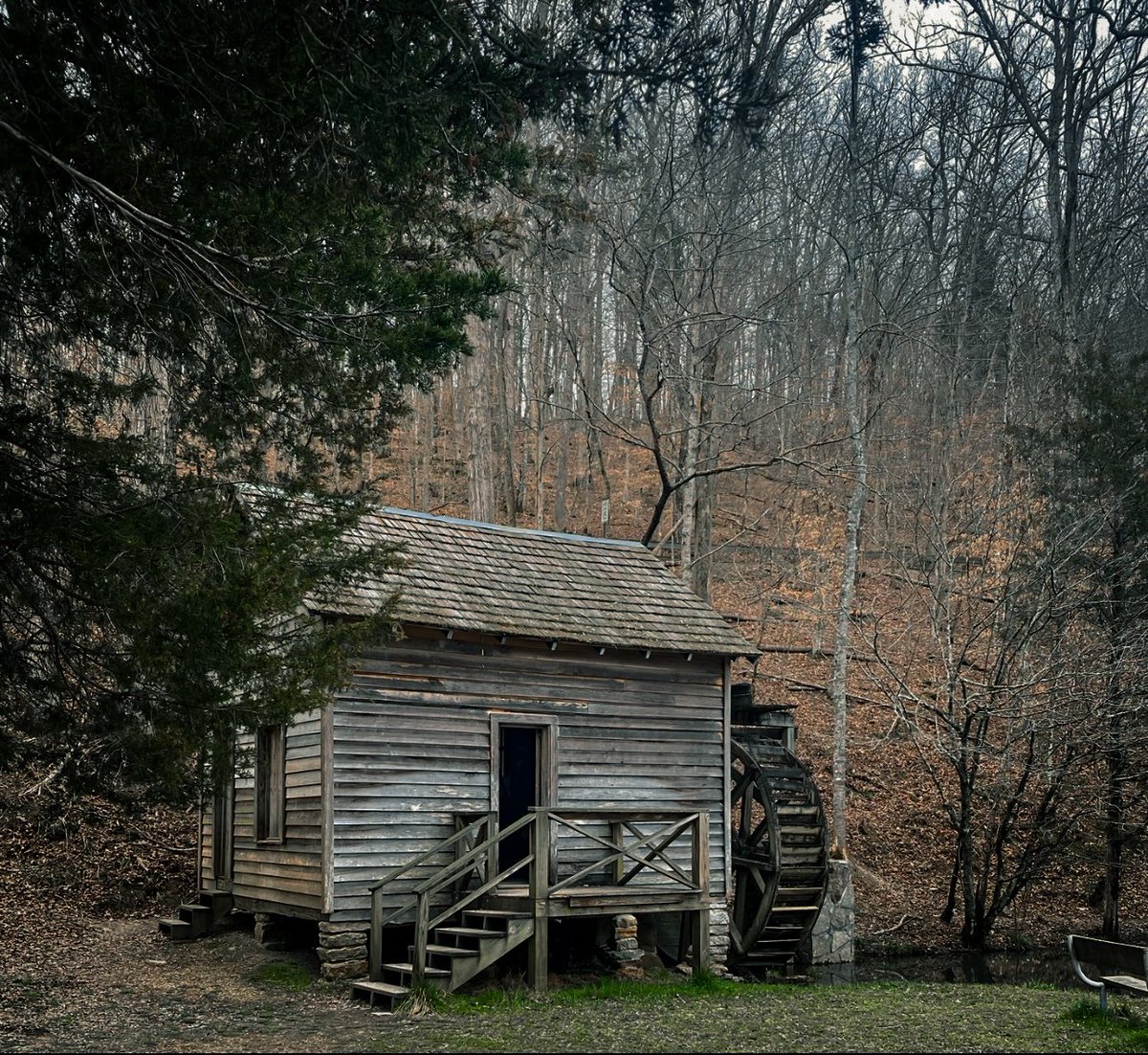 joann ☘️🇺🇸 tweet media