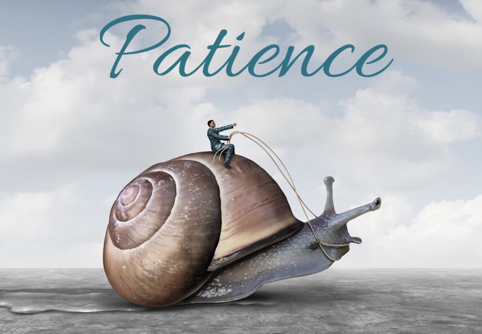 #HappyMondayNight 🌞 

Patience continues, and the will to live, ⚔️🌹 

#BeTheLight #SpreadHope #GoodVibesOnly #IQRTG #womenintech #ThinkBIGSundayWithMarsha