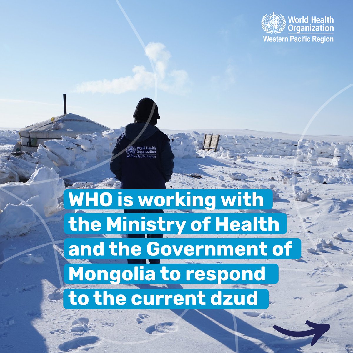 Together with the Government 🇲🇳, @WHO is on the ground supporting the Ministry of Health @EruulMendiinYam and the Government of #Mongolia on the heightened response to #dzud while working with local governments to strengthen the resilience of local health systems.