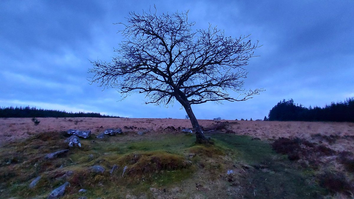 Lakehead Hill #Dartmoor