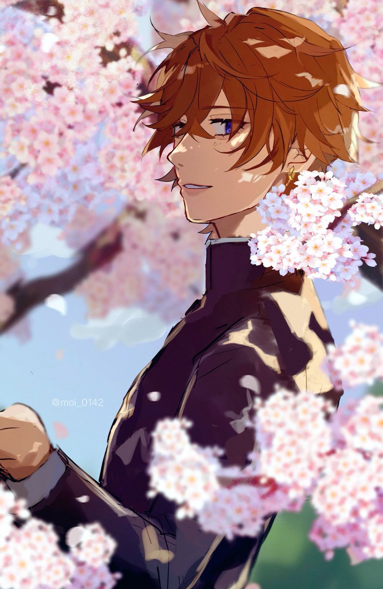 tartaglia (genshin impact) male focus 1boy blue eyes cherry blossoms solo bangs orange hair  illustration images