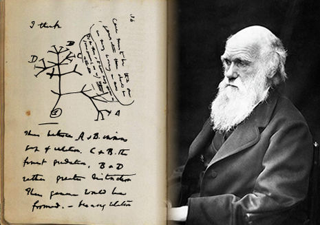 FabienColombo's tweet photo. #Anthropocene
Can you picture this?
Andrev @Revkin showing the tree of life of Darwin to explain to the geologists of the #AnthropoceneWorkingGroup (#AWG) that geology is not the only one to be confronted with political aspects in the #HistoryOfSciences.
https://t.co/yaRDfDjL5b https://t.co/YvcxOFMEKe