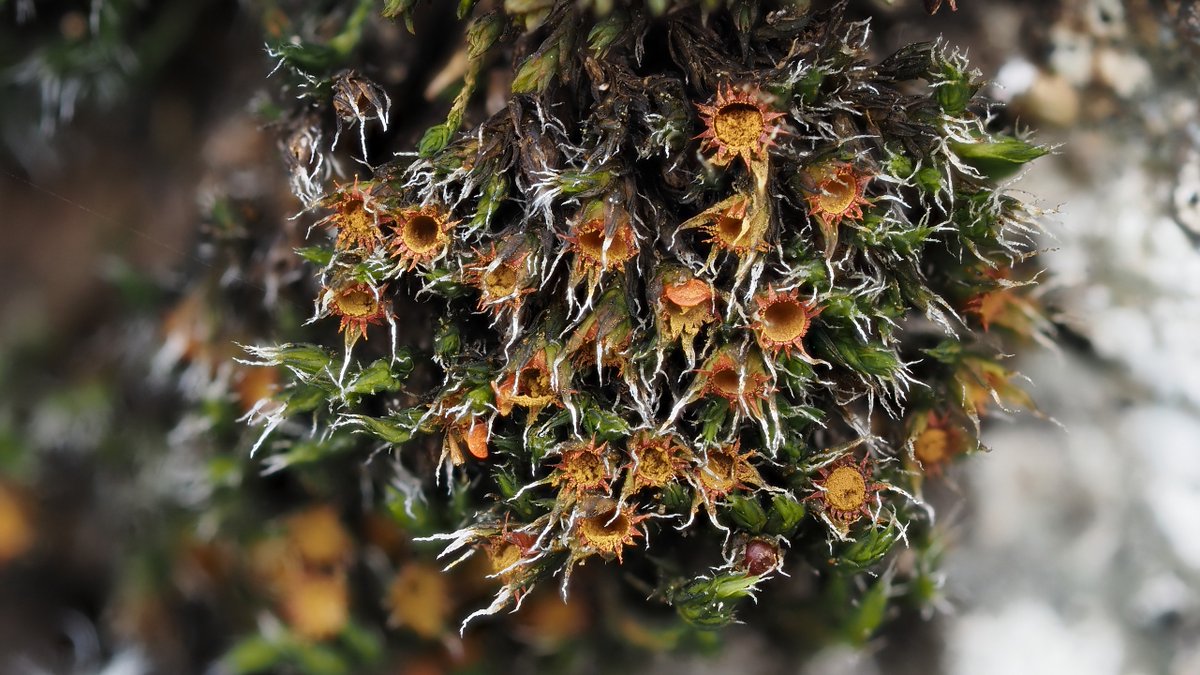 Michael Lueth tweet media