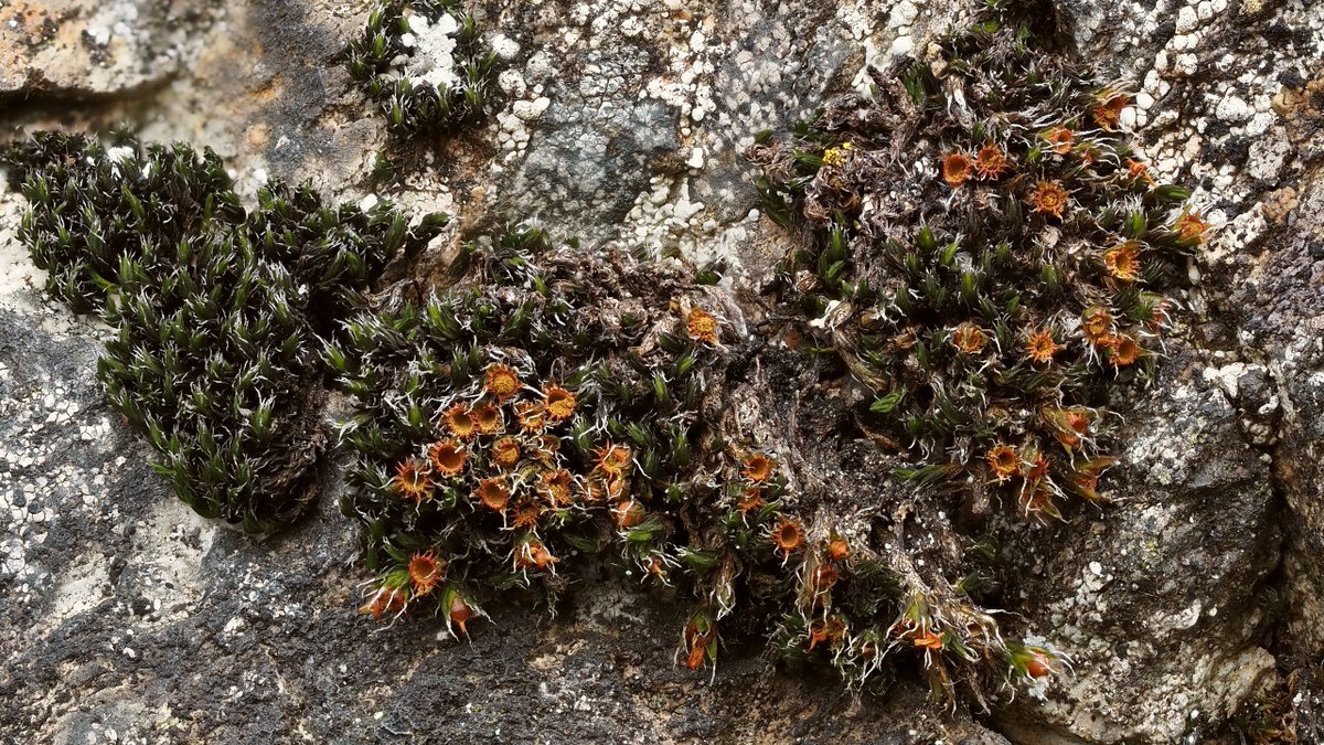 Michael Lueth tweet media