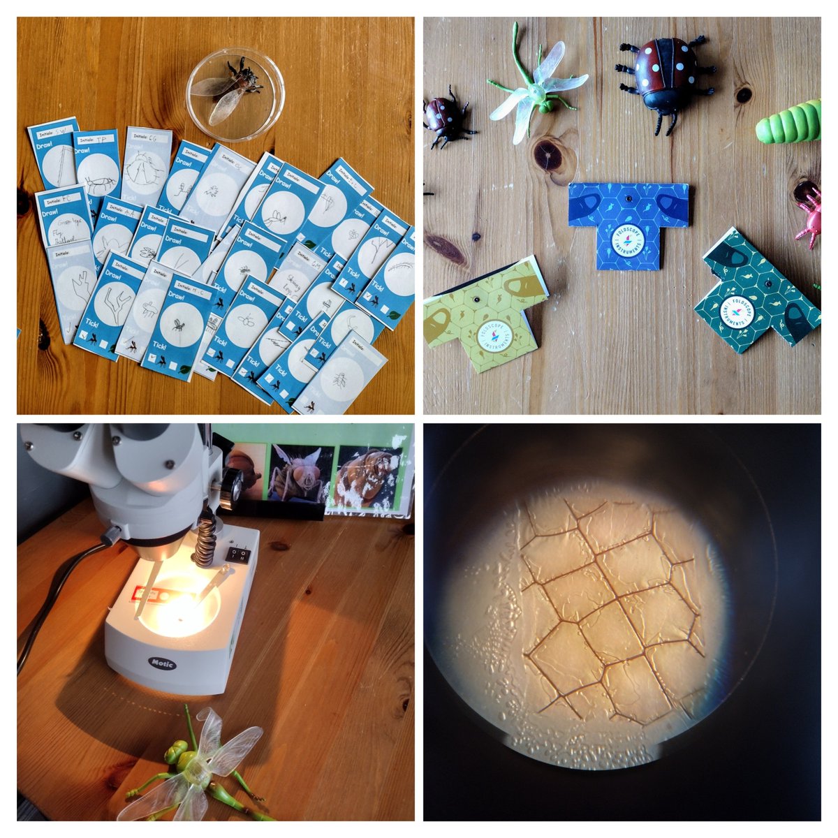 Great to share Foldscope Maker kits with KS2 primary school children for #ScienceWeek Exploring insects with microscopy using Maker Kit activities developed by @physicsleedsuni BSc project students Lucy Scott and Max Exelby. The pupils had so many amazing insect facts!