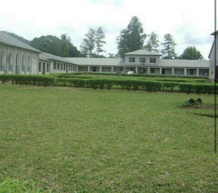 Jayleen 💞 tweet media