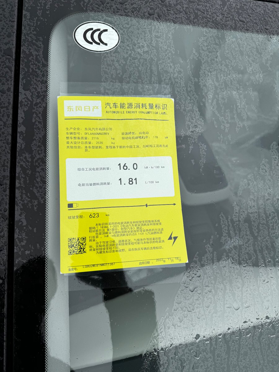 Nissan ARIYA New Energy Car Label from China.