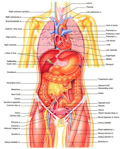doctor_sab75043's tweet photo. Human body.
Assalamualaikum everyone
Good afternoon
X family
#สุขุมวิท11
#อุงเอิง https://t.co/DCwlOrKqss