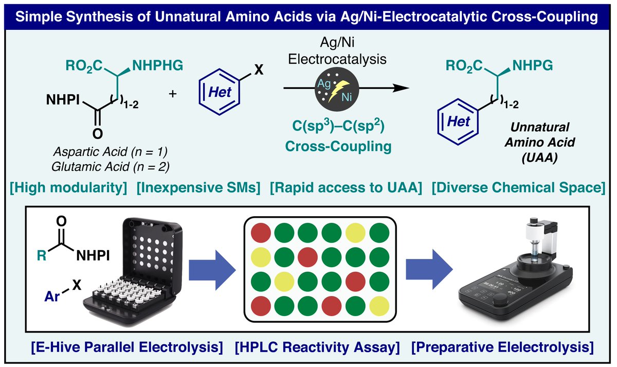 g_laudadio's tweet photo. Our latest work found a home in @JOC_OL!

Electrochemistry to generate valuable libraries ☑️

#RealTimeChem https://t.co/oft75Sa8Zq